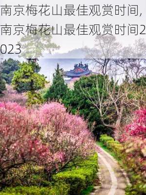 南京梅花山最佳观赏时间,南京梅花山最佳观赏时间2023