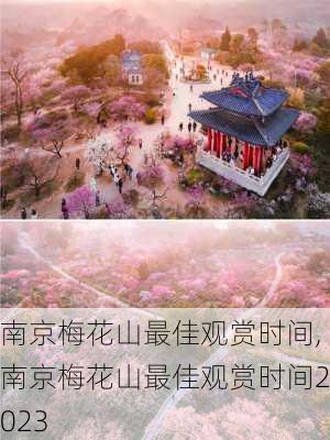 南京梅花山最佳观赏时间,南京梅花山最佳观赏时间2023