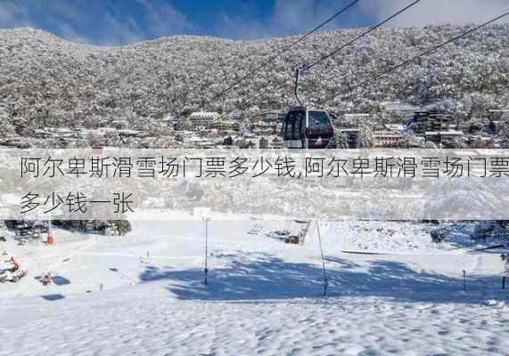 阿尔卑斯滑雪场门票多少钱,阿尔卑斯滑雪场门票多少钱一张