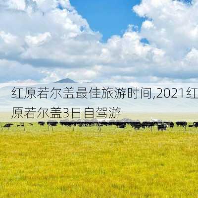 红原若尔盖最佳旅游时间,2021红原若尔盖3日自驾游