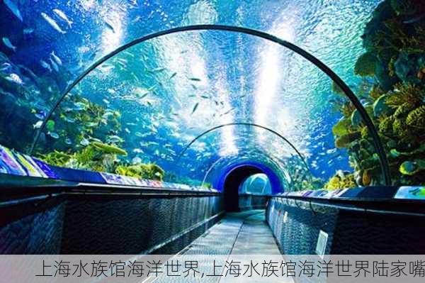 上海水族馆海洋世界,上海水族馆海洋世界陆家嘴