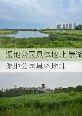 湿地公园具体地址,崇湖湿地公园具体地址