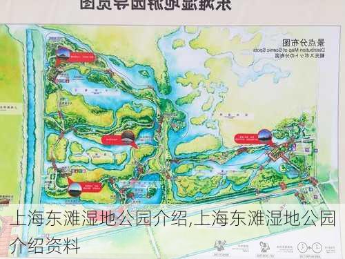 上海东滩湿地公园介绍,上海东滩湿地公园介绍资料