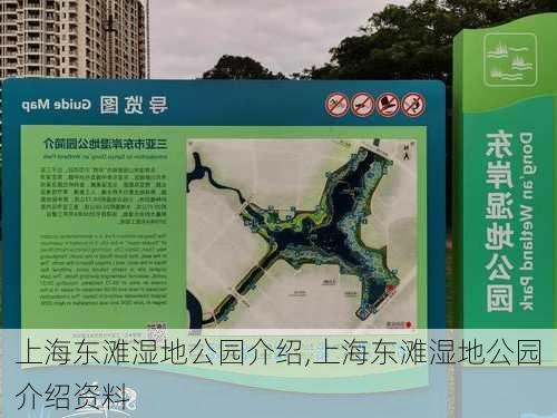 上海东滩湿地公园介绍,上海东滩湿地公园介绍资料