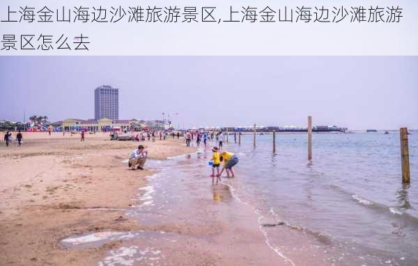 上海金山海边沙滩旅游景区,上海金山海边沙滩旅游景区怎么去