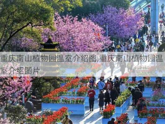 重庆南山植物园温室介绍图,重庆南山植物园温室介绍图片