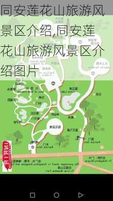 同安莲花山旅游风景区介绍,同安莲花山旅游风景区介绍图片