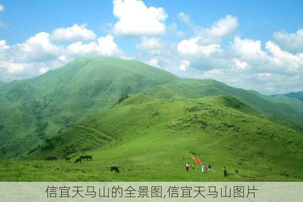 信宜天马山的全景图,信宜天马山图片