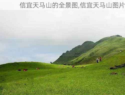 信宜天马山的全景图,信宜天马山图片