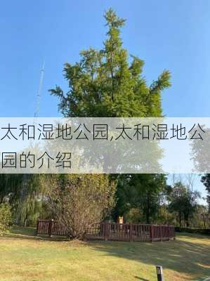 太和湿地公园,太和湿地公园的介绍