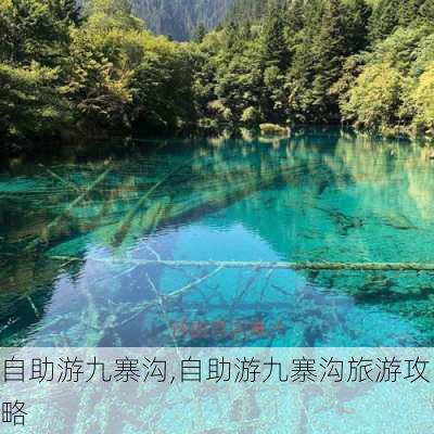 自助游九寨沟,自助游九寨沟旅游攻略