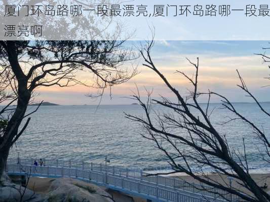 厦门环岛路哪一段最漂亮,厦门环岛路哪一段最漂亮啊