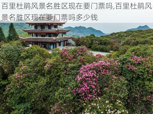 百里杜鹃风景名胜区现在要门票吗,百里杜鹃风景名胜区现在要门票吗多少钱