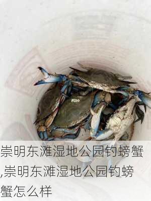 崇明东滩湿地公园钓螃蟹,崇明东滩湿地公园钓螃蟹怎么样