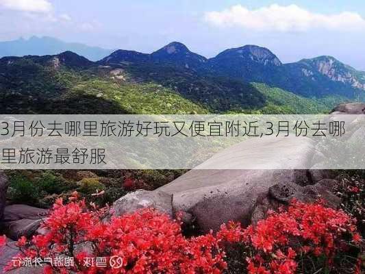 3月份去哪里旅游好玩又便宜附近,3月份去哪里旅游最舒服