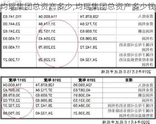 均瑶集团总资产多少,均瑶集团总资产多少钱