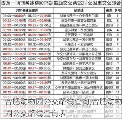 合肥动物园公交路线查询,合肥动物园公交路线查询表