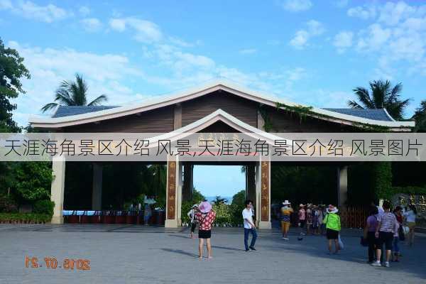 天涯海角景区介绍 风景,天涯海角景区介绍 风景图片