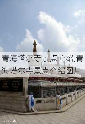 青海塔尔寺景点介绍,青海塔尔寺景点介绍图片