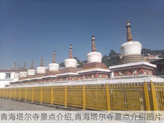 青海塔尔寺景点介绍,青海塔尔寺景点介绍图片