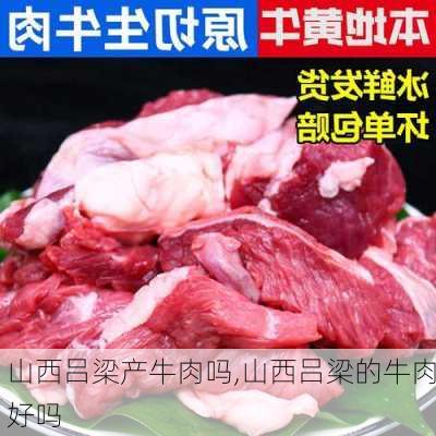 山西吕梁产牛肉吗,山西吕梁的牛肉好吗