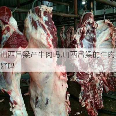 山西吕梁产牛肉吗,山西吕梁的牛肉好吗