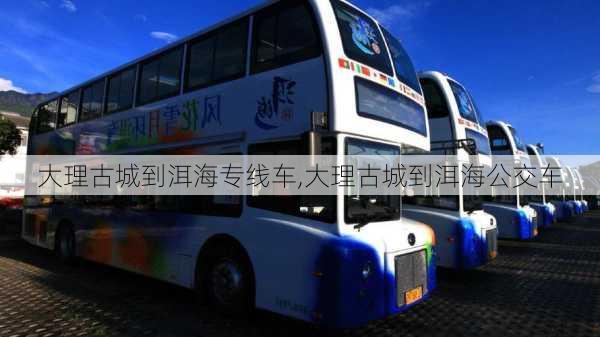 大理古城到洱海专线车,大理古城到洱海公交车