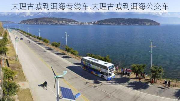 大理古城到洱海专线车,大理古城到洱海公交车