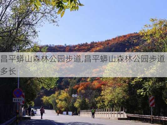 昌平蟒山森林公园步道,昌平蟒山森林公园步道多长