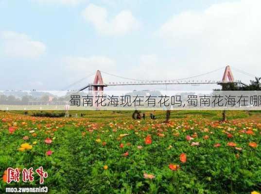 蜀南花海现在有花吗,蜀南花海在哪