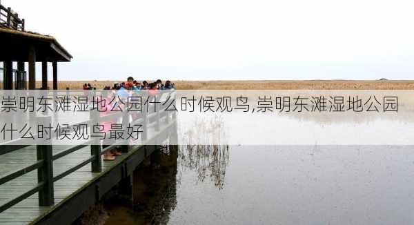 崇明东滩湿地公园什么时候观鸟,崇明东滩湿地公园什么时候观鸟最好