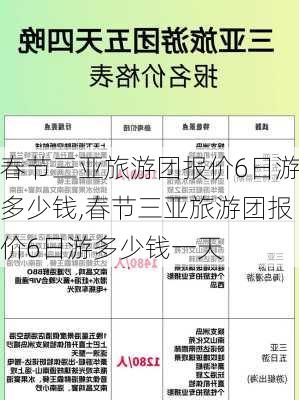 春节三亚旅游团报价6日游多少钱,春节三亚旅游团报价6日游多少钱一天