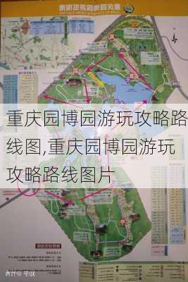 重庆园博园游玩攻略路线图,重庆园博园游玩攻略路线图片