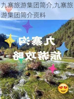 九寨旅游集团简介,九寨旅游集团简介资料