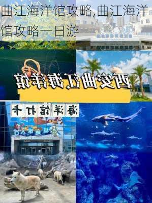 曲江海洋馆攻略,曲江海洋馆攻略一日游