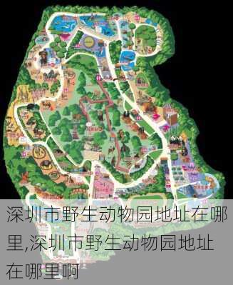 深圳市野生动物园地址在哪里,深圳市野生动物园地址在哪里啊