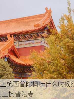 上杭西普陀枫叶什么时候红,上杭普陀寺