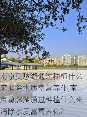 南京莫愁湖通过种植什么来消除水质富营养化,南京莫愁湖通过种植什么来消除水质富营养化?