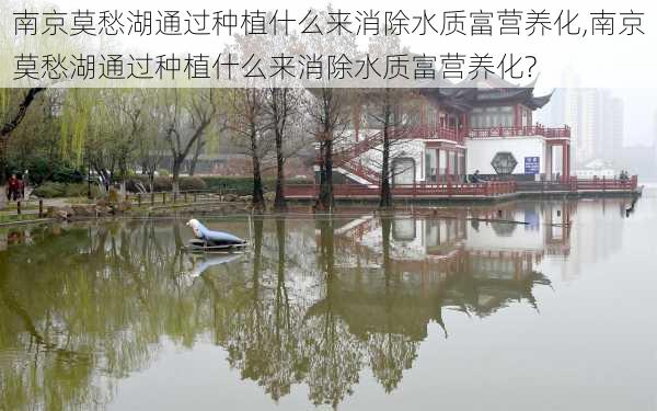 南京莫愁湖通过种植什么来消除水质富营养化,南京莫愁湖通过种植什么来消除水质富营养化?