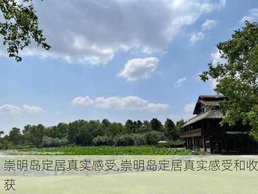 崇明岛定居真实感受,崇明岛定居真实感受和收获