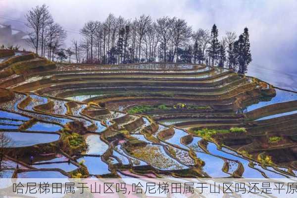 哈尼梯田属于山区吗,哈尼梯田属于山区吗还是平原