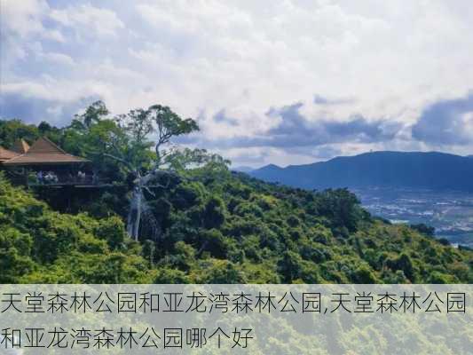 天堂森林公园和亚龙湾森林公园,天堂森林公园和亚龙湾森林公园哪个好