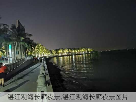 湛江观海长廊夜景,湛江观海长廊夜景图片