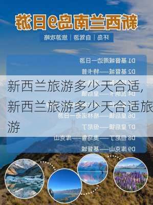 新西兰旅游多少天合适,新西兰旅游多少天合适旅游