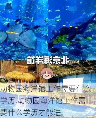 动物园海洋馆工作需要什么学历,动物园海洋馆工作需要什么学历才能进