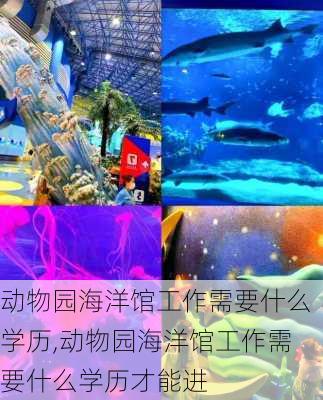 动物园海洋馆工作需要什么学历,动物园海洋馆工作需要什么学历才能进