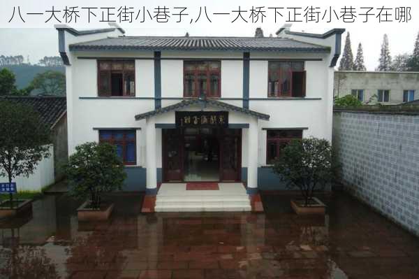 八一大桥下正街小巷子,八一大桥下正街小巷子在哪