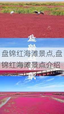 盘锦红海滩景点,盘锦红海滩景点介绍