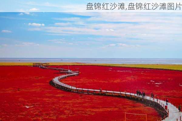 盘锦红沙滩,盘锦红沙滩图片