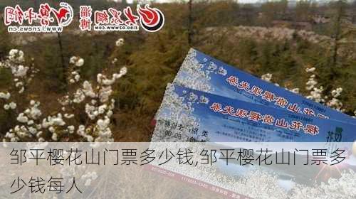 邹平樱花山门票多少钱,邹平樱花山门票多少钱每人